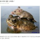 이** - 청주시 청원구 신대석성로 149 | 이**