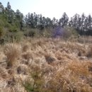 북동마을회관 이미지