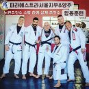 수락주짓수파라에스트라 서울 이미지