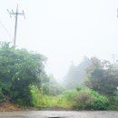 중문1세천 이미지