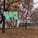 자인계정숲 이미지