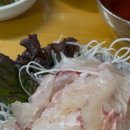 군침도는 숙성회 이미지