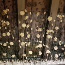 귀인한의원 이미지