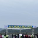 배경기 | 제6회 부여 백마강배 전국용선경기대회 후기