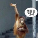 소풍김밥 이미지