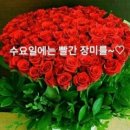 수요일 - 종로구 인사동길 36 | 수요일