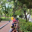 장림1동 행정복지센터 앞 이미지