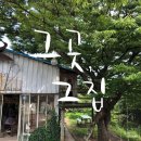 대룡마을 네이버블로그