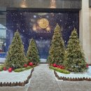 더문 호텔 | 서산 호텔 베니키아호텔 서산 숙소 추천 / 더 문 스카이라운지 레스토랑 추천 후기