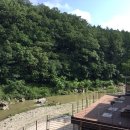 초록나무펜션 이미지