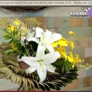플로아트 이미지