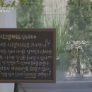 윤선디자인 이미지