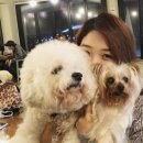 오키도기 이미지