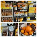 지담밥상 - 창원시 마산회원구 | 성산 맛집 갈치조림 제주로운청해원 아침식사