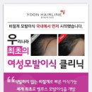 스타헤어라인 네이버블로그