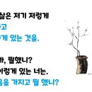 하늘은지붕위로 이미지