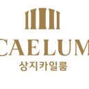 상지 이미지