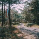 14-1코스 이미지