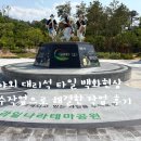 백화회관 | 야외 대리석 타일 백화현상 수작업으로 해결한 작업 후기