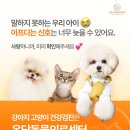 온담동물의료센터 이미지