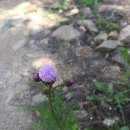 송촌2리 마을회관 이미지