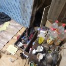 돼지우리 이미지