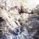 울산일보 이미지