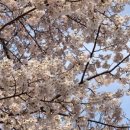 선덕여고앞 이미지