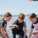 오이도어촌체험휴양마을 이미지