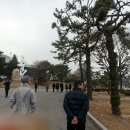 태영의전