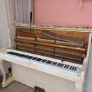 음빛깔피아노교습소