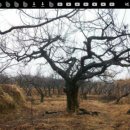 신목농장 이미지