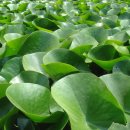 계곡속의바위집 이미지