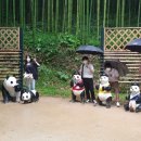 창의고등학교 이미지