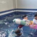 잉어물놀이 화장실 | 대부도키즈펜션 펀지키즈풀빌라 24시간온수풀 놀거리가득했던 후기