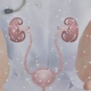 왕내과의원 네이버블로그
