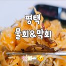 사계절막회&물회 - 평택시 고덕국제3길 114 | 사계절막회&물회
