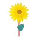 해바라기유치원(어린이집) 이미지