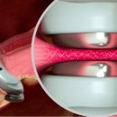 더클래스동물메디컬센터 이미지