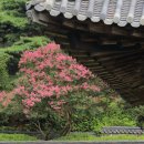 충주박씨열려문 이미지