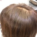 경안약품 이미지