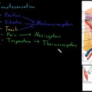 새터 한의원 이미지