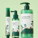 케이글로벌컴퍼니 이미지