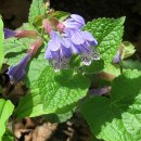 김삿갓면-18 이미지