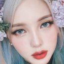 레오아빠동물약국 이미지