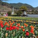 거창-거창-1 이미지