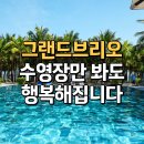 종이학라이브 | 베트남 다낭 풀빌라 추천 그랜드브리오 우리끼리 힐링