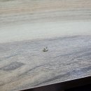 강원식당 이미지