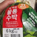 홈플러스 천안신방점 | 홈플러스에서 산 꿀통수박 맛있을까? 천안신방점 씨 적은 수박 구매 후기 &amp; 보관법