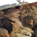 청계유통 이미지